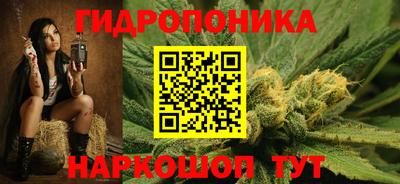 СК Бийск