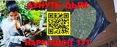 СК Бийск