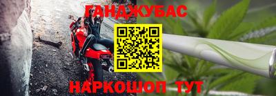 СК Бийск