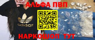 СК Бийск