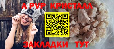 СК Бийск